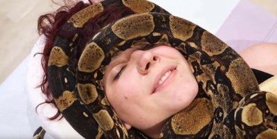 ¿Os apetece un masaje con serpientes?