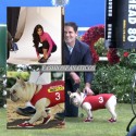 MARK CUBAN y su perro MR. QUIGGLY, desbancan a  KIM KARDASHIAN como imagen de SKECHERS