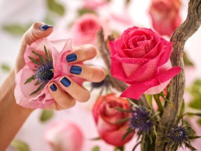 Manicura Orgánica Glam en Mi Calle de Nueva York